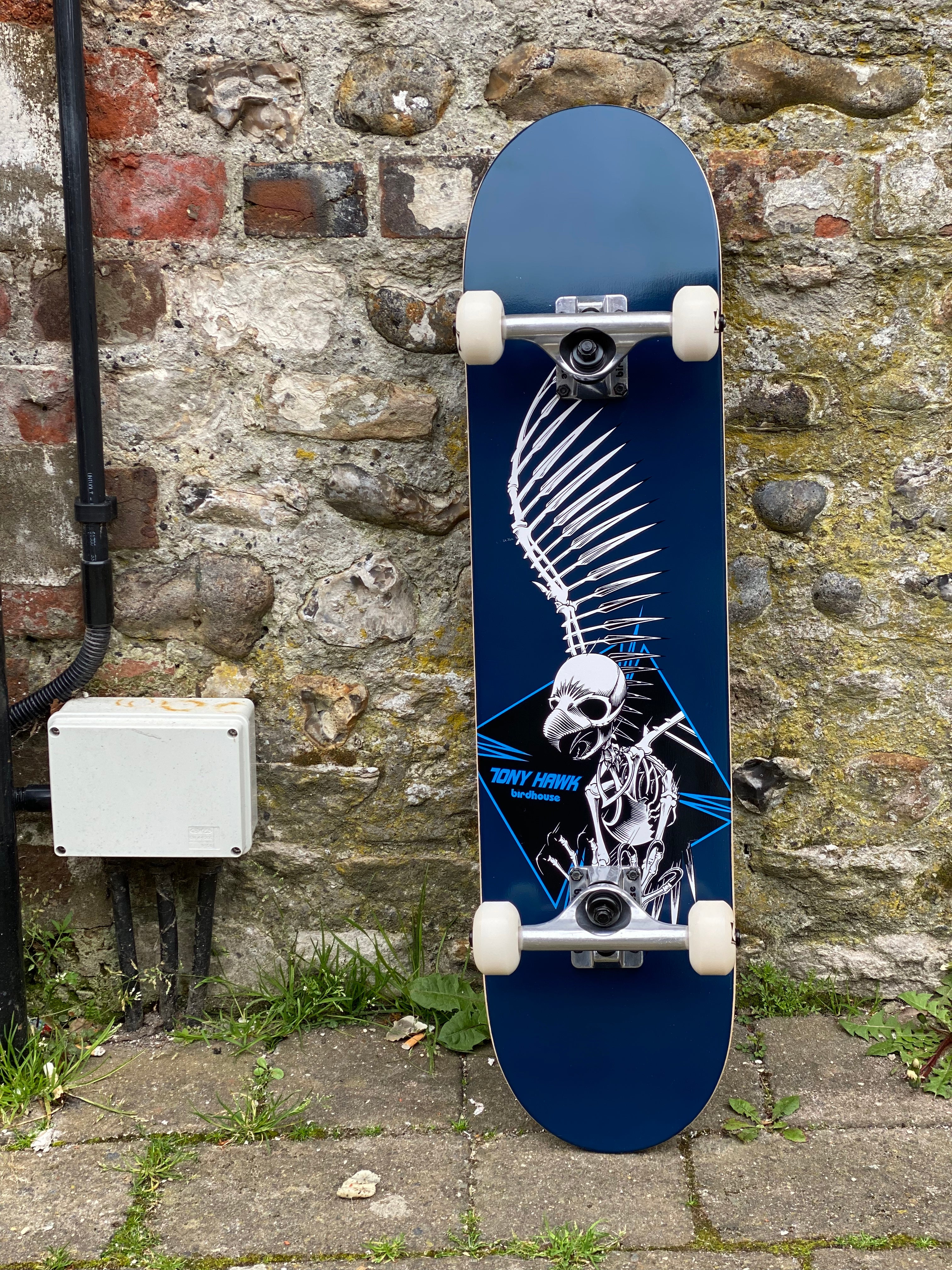 Birdhouse Full Skull II 7.5” Complete Skateboard