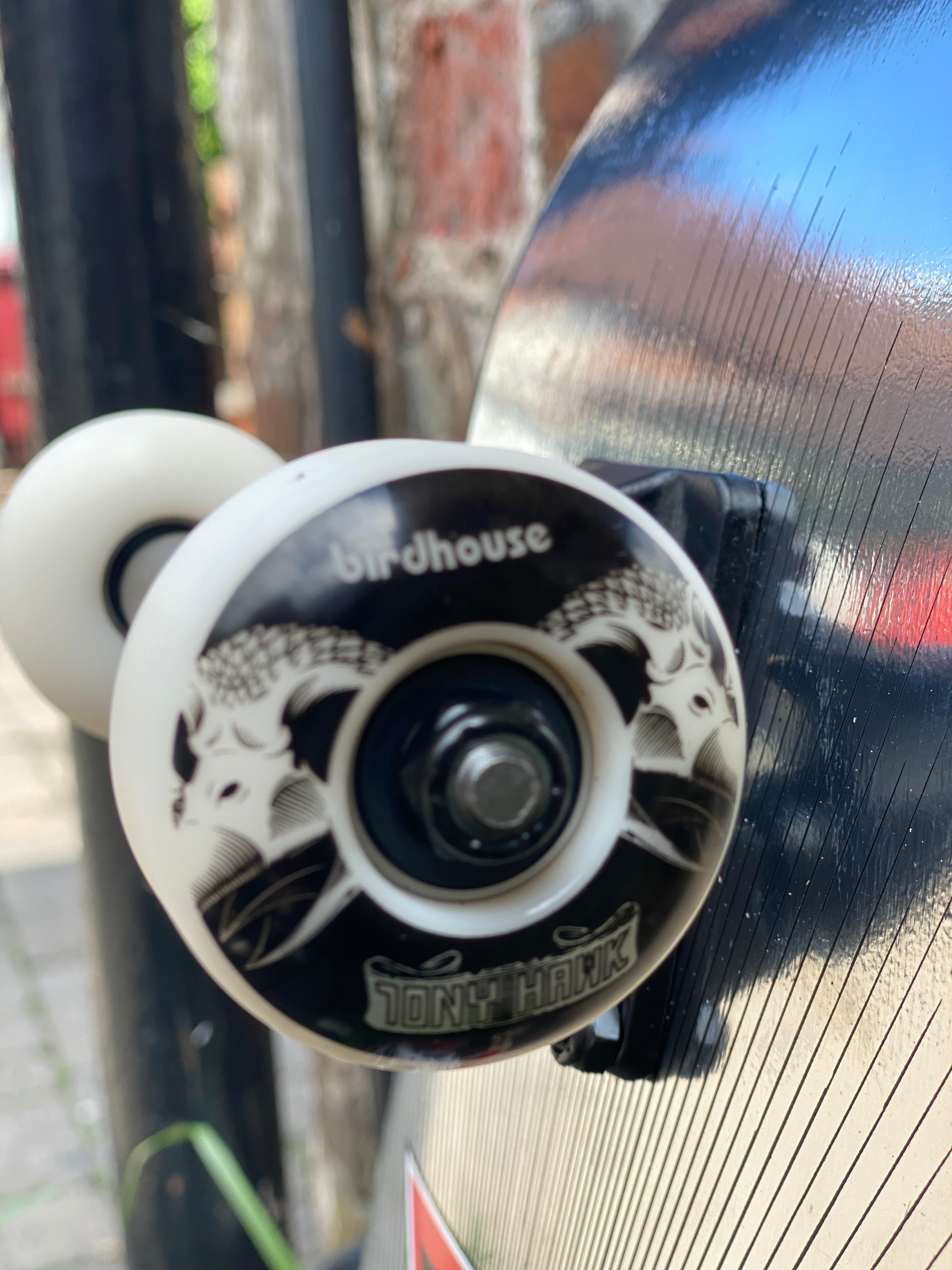 Birdhouse Hawk Skull 2 7.75” Complete Skateboard