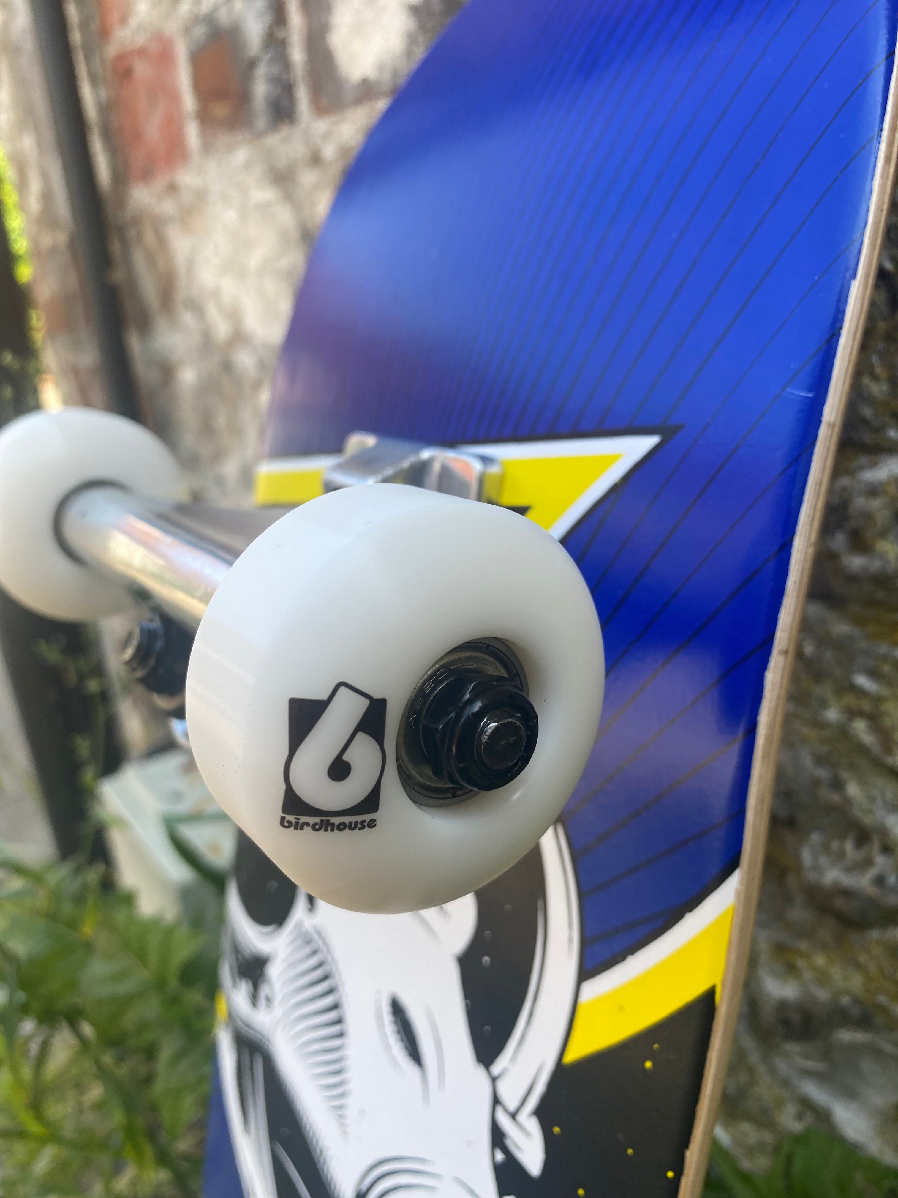 Birdhouse Oversized Skull Mini 7.25” Complete Skateboard