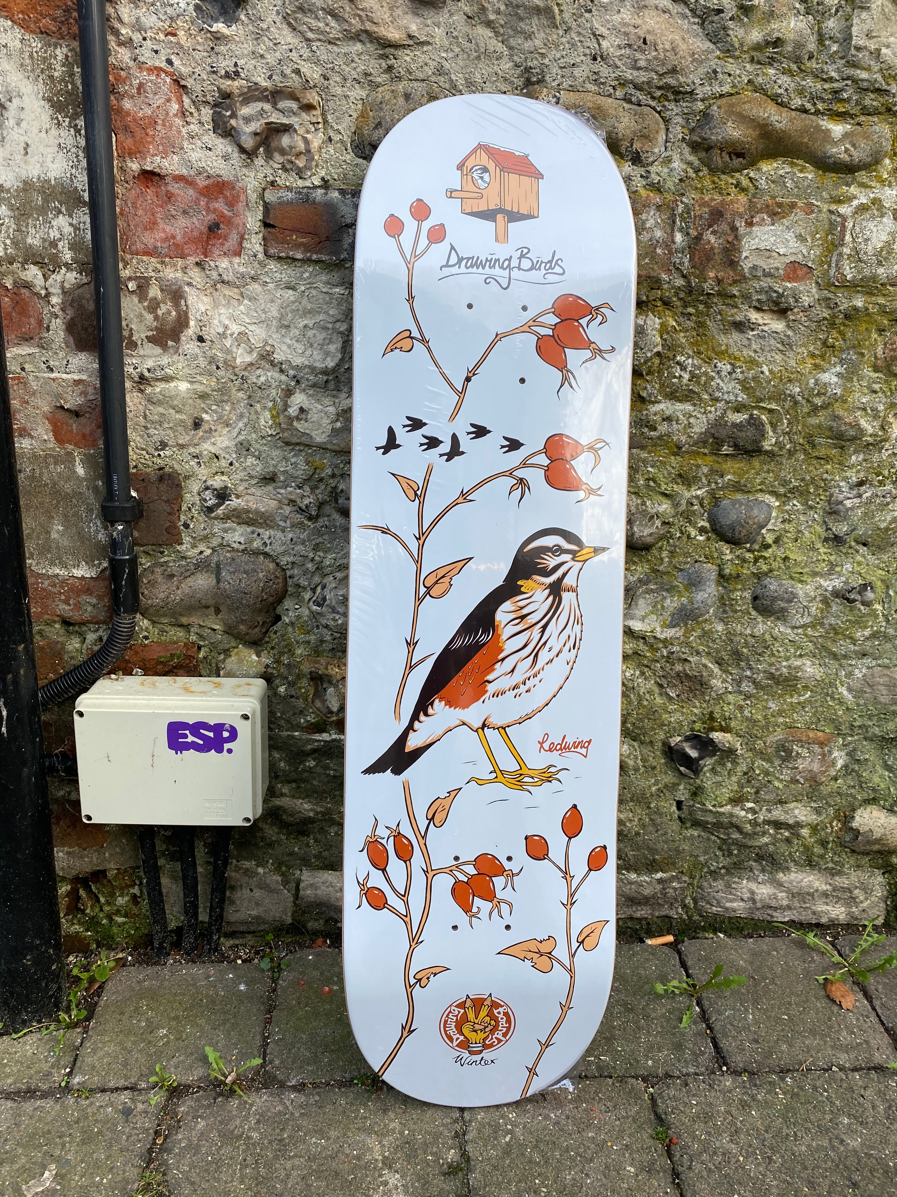 Drawing Boards 8.5” Birds Skateboard Deck