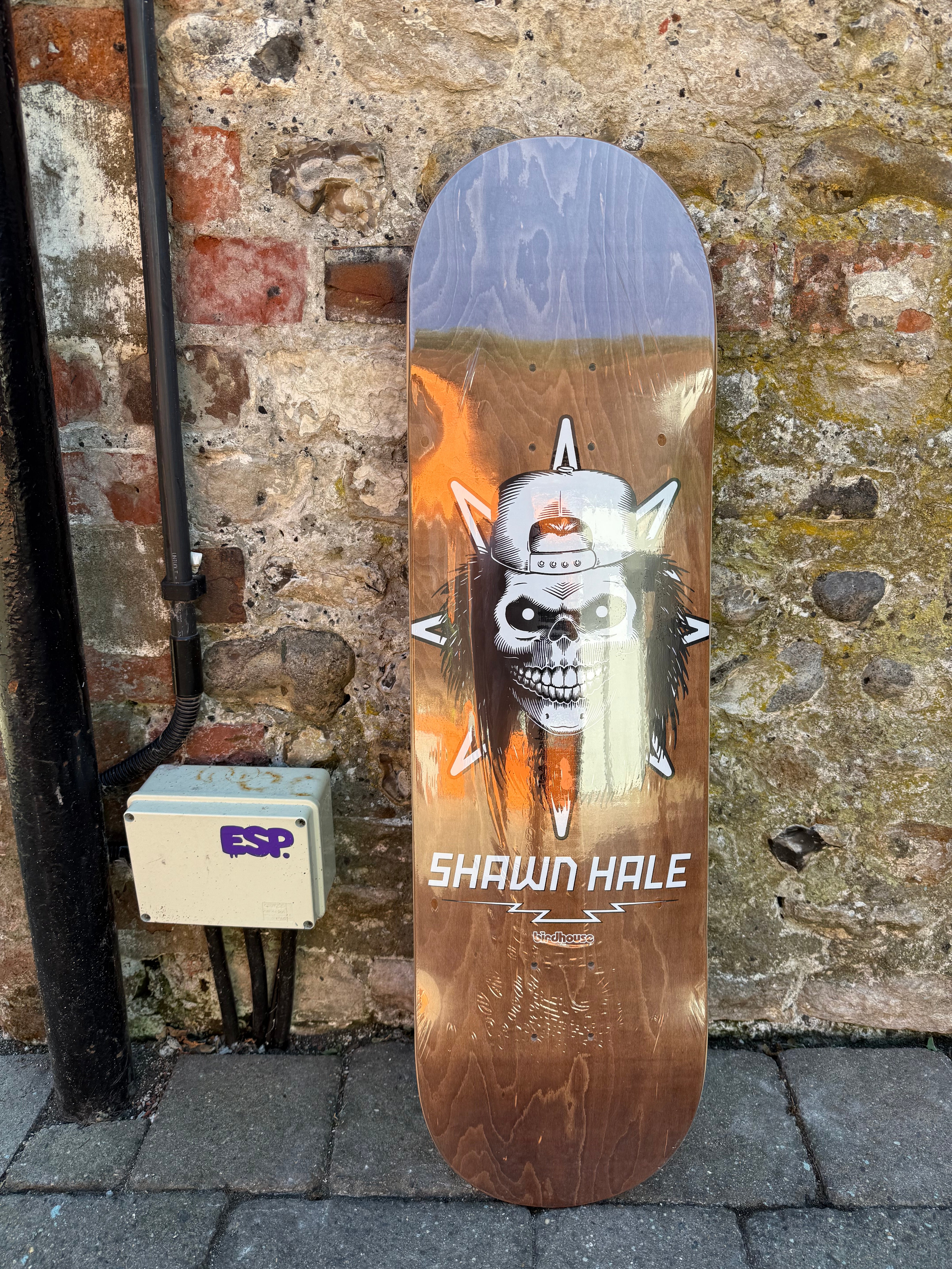 Birdhouse Shawn Hale 8.5” Skateboard Deck