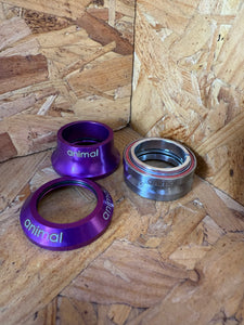 Animal Integrated Head Set